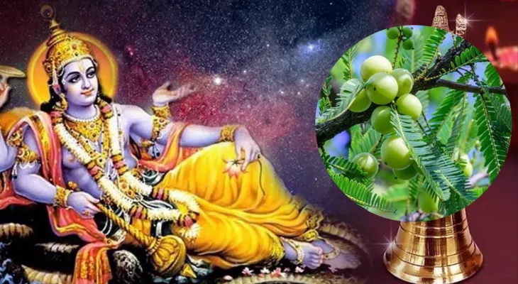 Amla Navami 2024: आंवला नवमी क्यों मनाते हैं ? जान लें इसकी डेट और महत्व