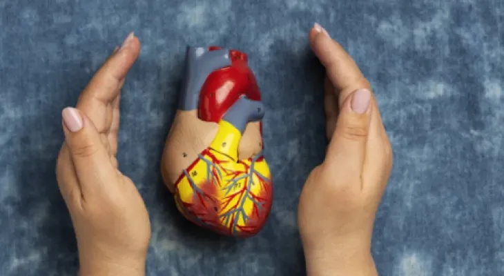 High Cholesterol : कोलेस्ट्रॉल का स्तर क्यों बढ़ता है? जानें इसको कंट्रोल करने के उपाय